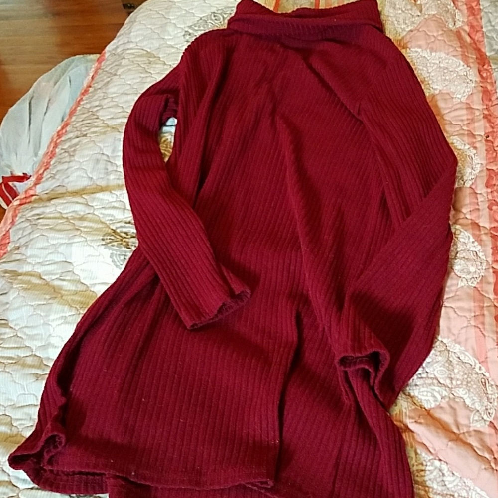 Turtle neck sweater dress